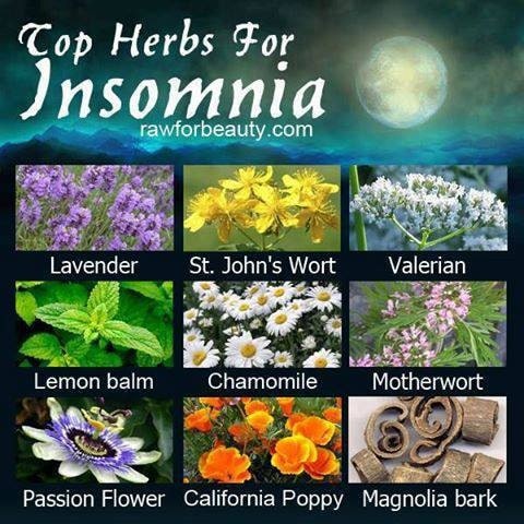 اعشاب تساعد على النوم