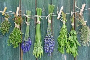 Useful herbs for health 1