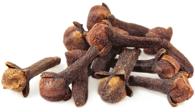 Benefits of clove for