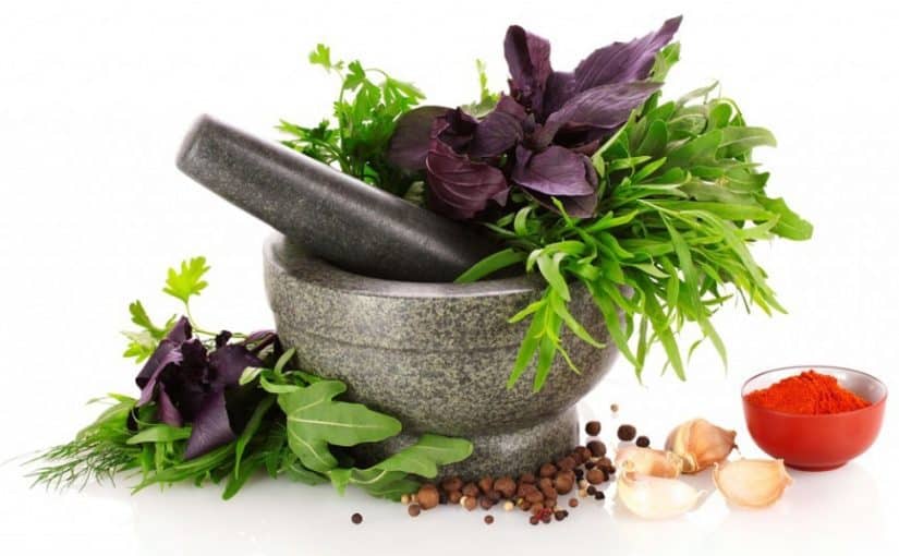 Herbs for constipation 1