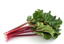 rhubarb for constipation 1