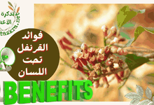 صورة فوائد القرنفل تحت اللسان لعلاج التهاب اللثة والاسنان