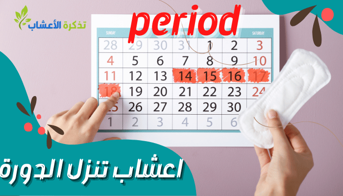 اعشاب تنزل الدورة