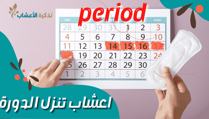  اعشاب تنزل الدورة 