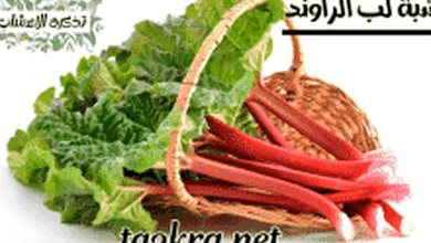 صورة سر فوائد عشبة لب الراوند للجسم معلومات لا تفوتها
