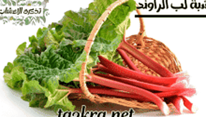 عشبة لب الراوند